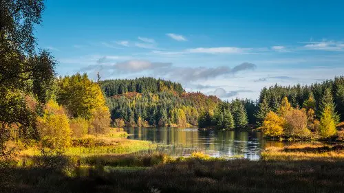 A photo of Queen Elizabeth Forest Park.